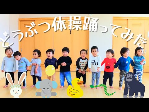 どうぶつ体操踊ってみた！【ダンス】【1歳児】【0歳児】【保育園】