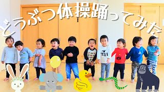 どうぶつ体操踊ってみた！【ダンス】【1歳児】【0歳児】【保育園】