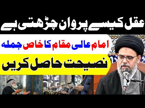 aqal kese parwan chrhti hai...? || Ayatollah Syed Aqeel Ul Gharavi 2024