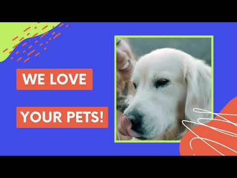 Diamonds in the Ruff Pet Resort and Salon | We Love to Care for Your Pets!