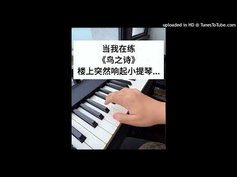 【鋼琴＋小提琴】鳥之詩