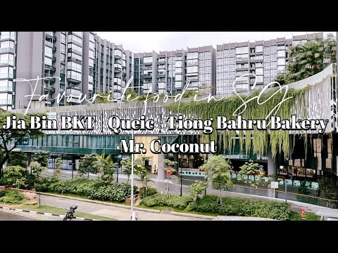 My Favourite Food in SG: Jia Bin Bak Kut Teh, Queic By Olivia, Tiong Bahru Bakery, Mr. Coconut