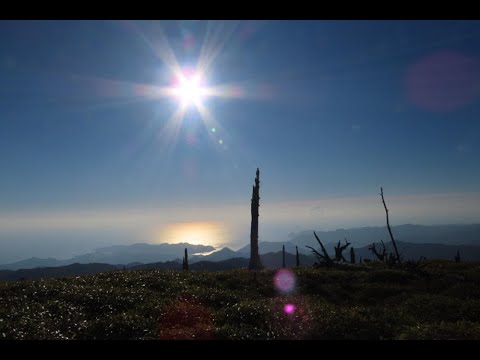 秋の東大台ケ原トレッキング 2024.11.06