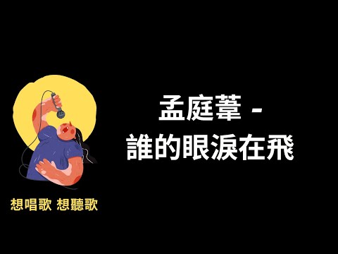 孟庭葦-誰的眼淚在飛『誰的眼淚在飛，是不是流星的眼淚』【高音質|動態歌詞|LyricsMusic】♫