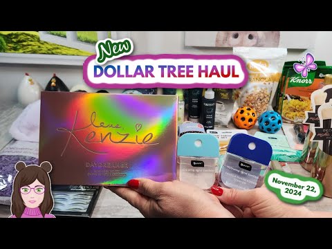 HUGE New DOLLAR TREE HAUL!  Amazing Finds!! November 22, 2024