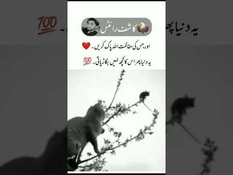 اور جس کی حفاظت اللہ پاک کریں.Deep lines what's ap status|| Alone status|| Urdu shayari ||kashif