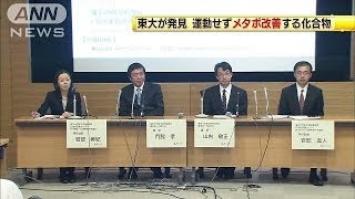 運動や食事制限なくメタボ解消？東大が化合物発見(13/10/31)