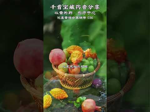 爛漫不過時間花慢煮光陰一盞茶#五音療愈#國樂#心靈療愈音樂