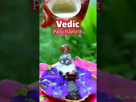 Episode-61 of Vedic Recipe (Panchamrit)💥 पंचामृत बनाने का सही वैदिक तरीका #shorts