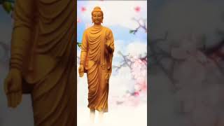 #buddhastatus #buddhastatus #buddha #buddhavani #buddhavani #viralvideo #buddhawhatsappstatus