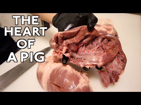 [Hatsu / The heart of a pig] A classic yakiniku menu in different cutting methods!