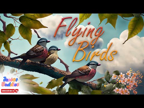 Birds - Educational Video For Kids | Names of Flying Birds  | Let's Learn about Flying Birds For Kid