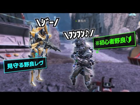 可愛い初心者野良ブラハがいたので野良レヴとキャリーしてきた【APEX】