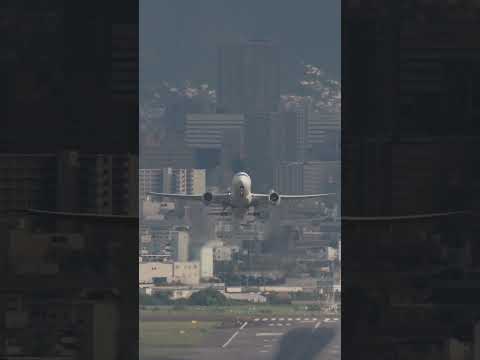 超望遠で捕らえるJAL Boeing787-8の華麗な離陸 視程60km