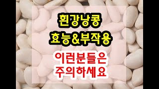 흰강낭콩 효능과 부작용 잘 알고 드셔야해요~