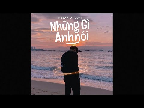 Những Gì Anh Nói (Lofi Ver.) - Bozitt x Freak D