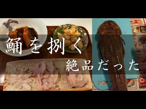 【魚さばき】鯒（コチ）を捌く！煮つけが絶品