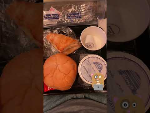 China Airlines Kosher Meal