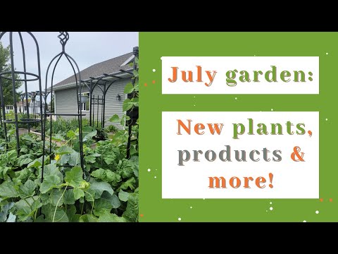 Garden update: Tomato experiment, new plants, products &  more!