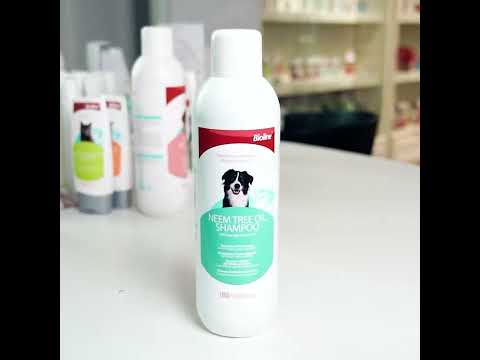 Get your furry friend runway-ready with our Paw-some Pet Barkment Shampoo!