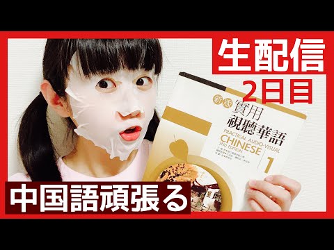 【作業生配信】中国語の宿題を頑張る！