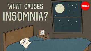 What causes insomnia? - Dan Kwartler