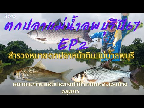 สำรวจหมายตกปลาหน้าดินแม่น้ำลพบุรีจังหวัดอยุธยา หมายสะพานกรมประมงเพนียดคล้องช้างอยุธยา