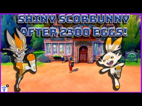 Shiny Scorbunny In Pokemon Shield After 2300 Eggs!