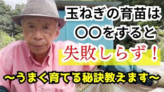 玉ねぎの育苗は〇〇をすると失敗いらず 〜うまく育てる秘訣教えます〜