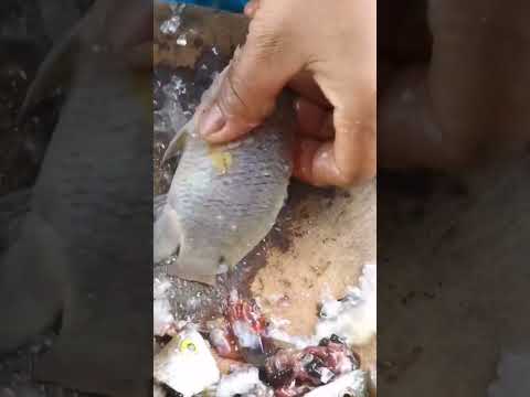 fish cutting skill #ytshorts #vural #video