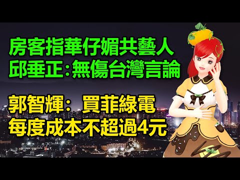 王定宇指劉德華媚共藝人，邱垂正賞巴掌：查無傷台灣言論｜郭智輝：向菲買綠電每度成本不超過4元 🍓20241101 #高雄林小姐 #Vtuber​​​​ #台灣Vtuber​​​ #台V