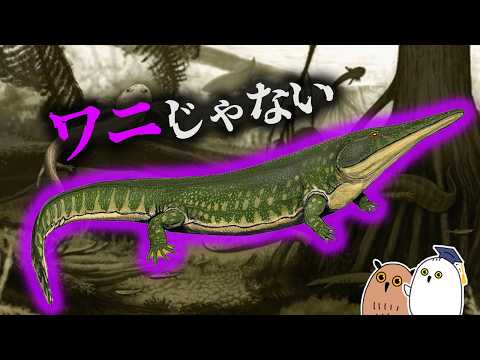 【ゆっくり解説】ワニになるペルム紀の巨大両棲類【 進化論 / 古生物 / 生命の歴史㉓】