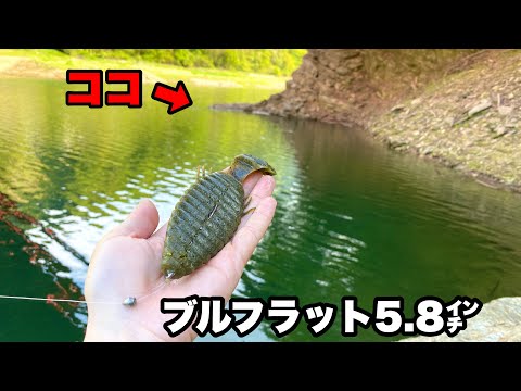 【マジでチート】このエリアにいる最大魚をアッサリ釣らせてくれる釣り方がコレです。