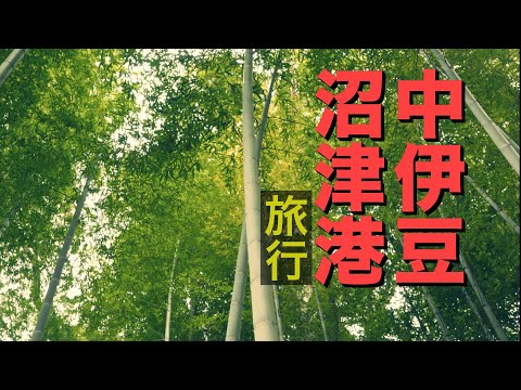 靜岡縣的旅行除了富士山，也可以試試看伊豆半島中部以及駿河灣沿岸的沼津