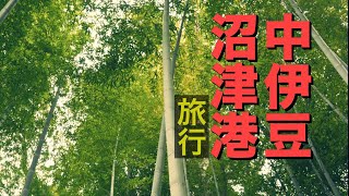 靜岡縣的旅行除了富士山，也可以試試看伊豆半島中部以及駿河灣沿岸的沼津