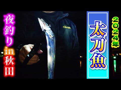 2024年 秋田【太刀魚釣り】夜釣り！のんびりフィッシング♪