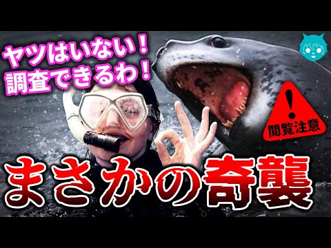 【惨劇】回避は不可能…ヒョウアザラシ襲撃事件｜怖すぎる犯行動機、ついに判明