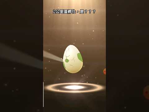 2公里蛋孵化，是？？？｜#pokémon #pokemongo #精靈寶可夢