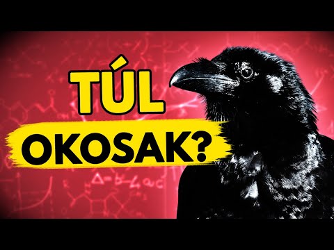 A Varjak Intelligencája Megrémíti a Tudósokat