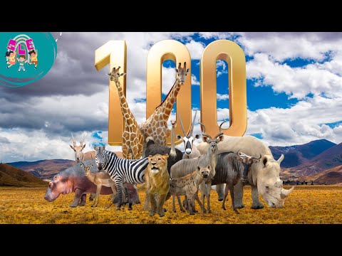 100 ANIMALS FOR KIDS | Discovering the Fascinating Animal World for Kids, Toddler and Preschooler