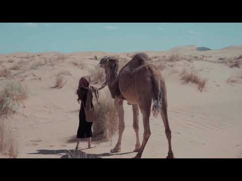 Woman and Camel | Copyright Free Video Footage