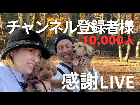 【祝】1万人記念ライブ