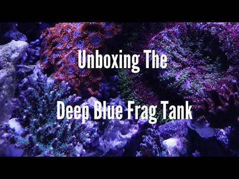 Deep Blue Frag Tank Unboxing! Whut imma do now?!?!?