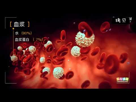 血液裏都有什麽  【中學生物】