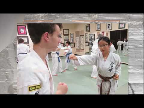 The Path of a Karateka; Mastering Okinawan Martial Arts