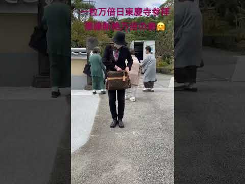 #北鎌倉 #東慶寺 #縁切り #一粒万倍日