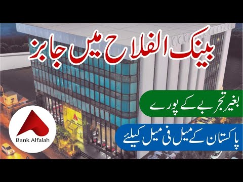 Bank Alfalah Jobs 2024 - Latest Bank Alfalah Jobs 2024 - How to Online Apply Bank Alfalah Jobs 2024