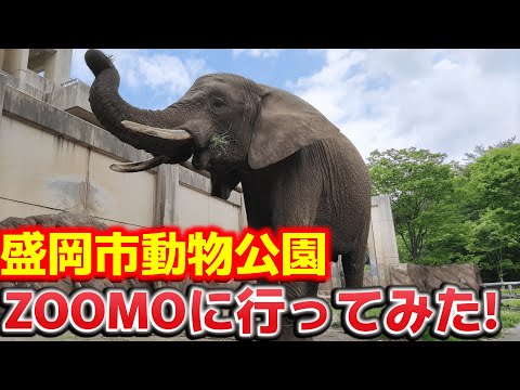 盛岡市動物公園ZOOMOに行ってきた！