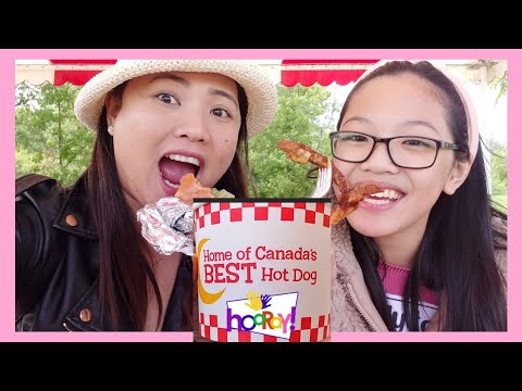 Great Place to Visit This Summer |Restaurant in Manitoba | Adventure Time