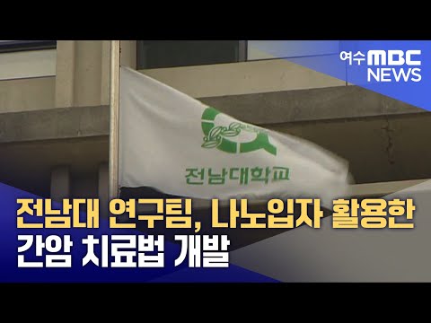 전남대 연구팀, 나노입자 활용한 간암 치료법 개발 (241224화/뉴스투데이)